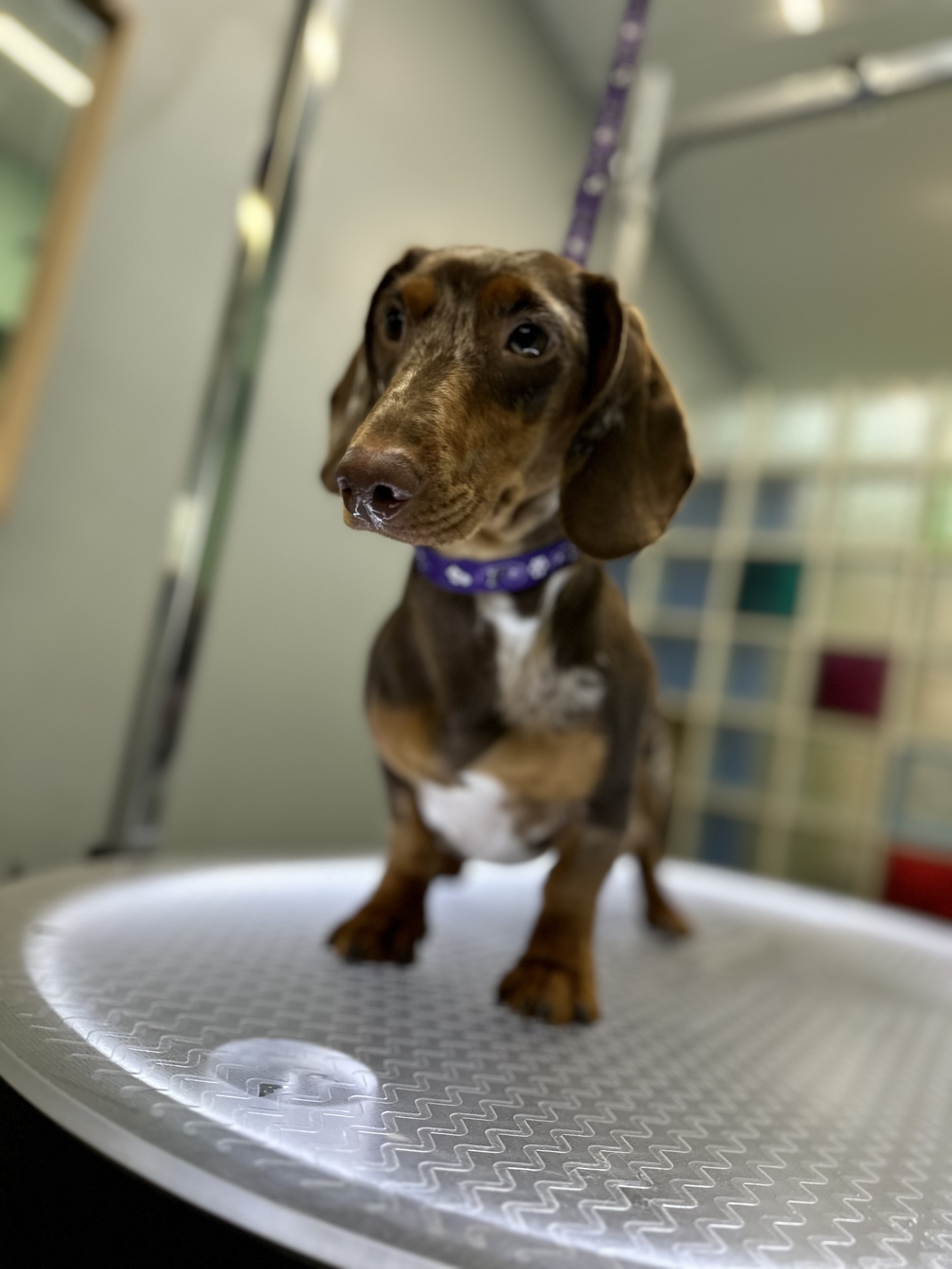 Szuper fotók a kedvencedről